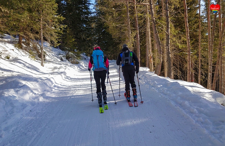 Wintertour zur Taistneralm - Südtirol